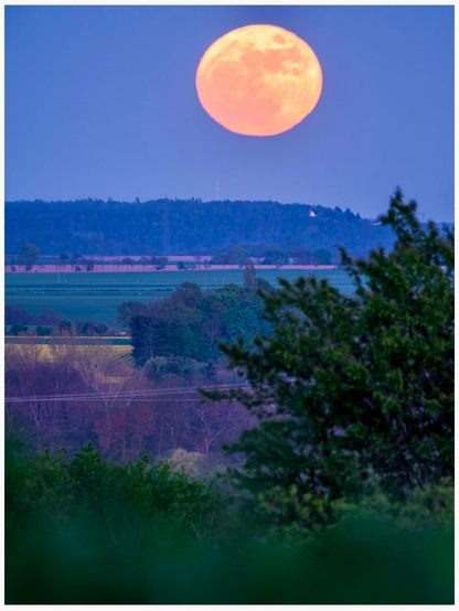 A large orange moon rises over a hilly landscape, surrounded by trees and fields, with a soft purple sky in the background.