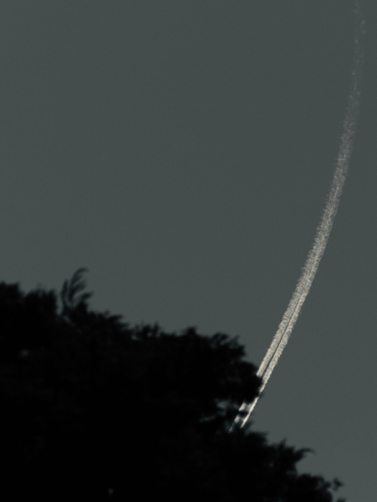 das schwarzweißbild zeigt den kondensstreifen eines flugzeugs, der hinter einem baumwipfel verschwindet. der streifen verläuft in einer geschwungenen linie von rechts oben nach ganz unten in die bildmitte. oben rechts hat sich der streifen schon fast wieder in luft aufgelöst.