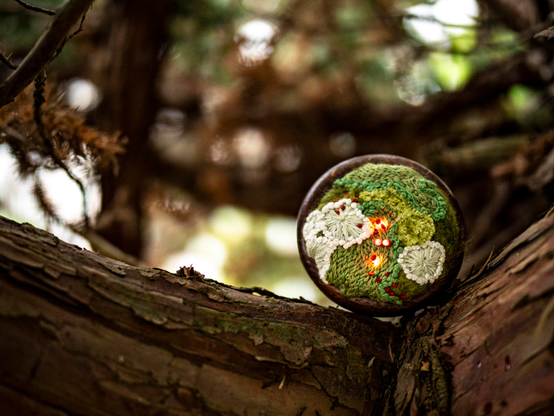 A small circular embroidered artwork sits between the rough branches of a tree. The artwork consists of moss-like embroidery with red lichen sprinkled over the top. The lichen lights up in a lovely red-orange glow.