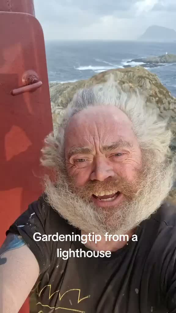 d’une tour élevée sur la côte, portant à son sommet une source lumineuse puissante de savoir, un professionnel du jardinage guide les jardiniers égarés en pleine mer et les préserve du naufrage et de l’excès d’arrosage