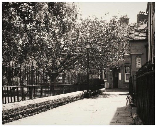 Black and white film photograph showing bright sunshine on an old part of town.  There is a flagstoned path and a traditional victorian streetlamp.