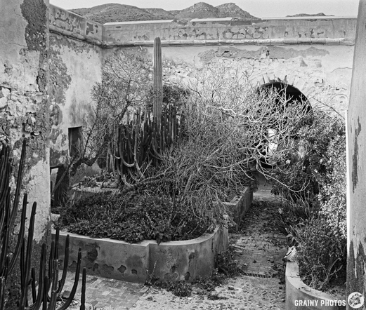 A black and white photograph of an overgrown courtyard inside Castillo de San Ramón featuring wild plants and cacti, surrounded by textured stone walls and a view of mountains in the background.