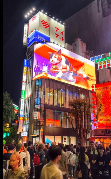 Eine sehr lebhafte Innenstadtkreuzung in Tokio mit sehr vielen Neonlichtern. Zentral ist ein gigantisches 3D-Billboard mit einer Katze, die sich darin bewegt und scheinbar auf die Umgebung reagiert.