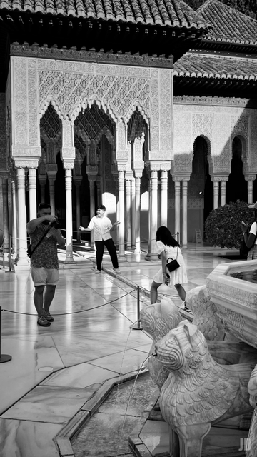 Esta imagen en blanco y negro muestra el Patio de los Leones en la Alhambra de Granada, capturando un momento cotidiano entre visitantes:
• Primer plano: Se aprecian las esculturas de los leones que forman parte de la famosa fuente, con chorros de agua saliendo de sus bocas.
• Punto central: Un grupo de turistas interactúa en el patio; un hombre toma una fotografía a otro joven que posa con los brazos abiertos frente a las arquerías. Una mujer con un vestido blanco también camina cerca de la fuente.
• Fondo arquitectónico: Destaca la impresionante arquitectura nazarí, con sus característicos arcos de herradura ricamente decorados, finas columnas de mármol y techos de teja.
• Composición: El juego de luces y sombras resalta las texturas del mármol del suelo y los intrincados relieves de las paredes.