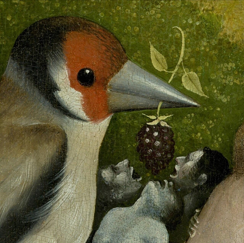 l’oiseau donnant la becquée aux hommes