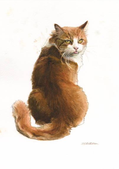 A watercolor painting of an orange cat with white cheeks, neck and paws. The cat is sitting on its butt while its back is facing us, and is looking back at us while showing the tip of its tongue with an otherwise closed mouth with a disinterested expression.