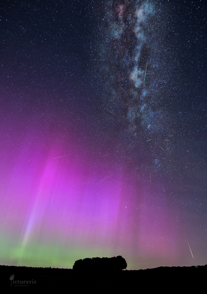 A photo of the green and purple northern lights hanging like a curtain in the sky behind the silhouette of a small tree row and a field. Behind the aurora, in the upper part of the image, are thousands of stars, as well as our galaxy, the Milky Way, which looks like someone spilled moldy milk in a line. There are four slightly larger and a few smaller green/orange/pink meteorite streaks visible.