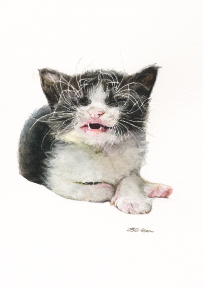 A watercolor painting of a black and white spotted kitten on a white background. The kitten is laying down with its face facing us. It's about to sneeze and its whiskers are all over its face- like a real mess.