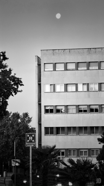 La imagen en blanco y negro muestra un edificio de varias plantas con numerosas ventanas, algunas con persianas bajadas. Frente al edificio hay árboles y palmeras, y en la parte inferior se ve una señal que indica un “Punto de encuentro”. En el cielo despejado aparece la luna, lo que sugiere que la foto fue tomada al amanecer. 
