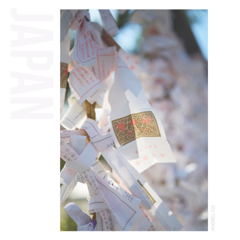 Offerings at the temple