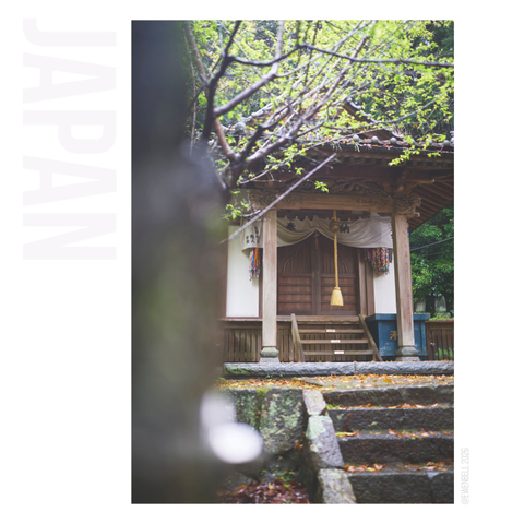 Shrine hidden in the forest