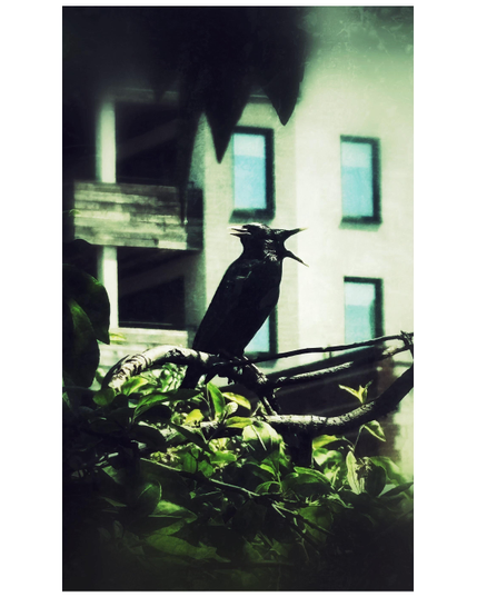 A two-headed starling — one head looking left, the other looking right with its beak wide open — sits on a branch among masses of leaves, with the balconies and windows of an apartment building in the background. This is a composite of two photos of the same bird, and has been heavily edited to add vignetting, blur and “scratches” at the margins.
