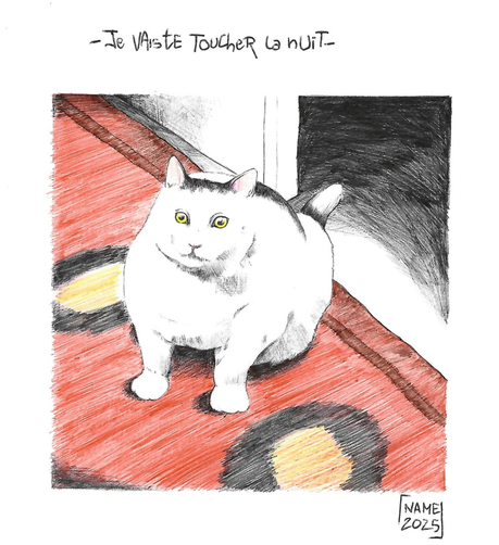 Ballpoint pen drawing of a fat black and white cat sitting on a carpet, looking straight at the spectator. The words "Je vais te toucher la nuit" ("I'm going to touch you at night") are written below