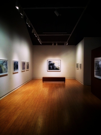 Inside an art gallery many paintings can be seen hanging from the walls. Reddish wood floor and a very tall ceiling and a lone bench can be seen.