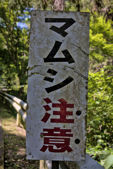 A color photograph of a sign in Japanese that reads 「マムシ注意」or "Beware of pit vipers".