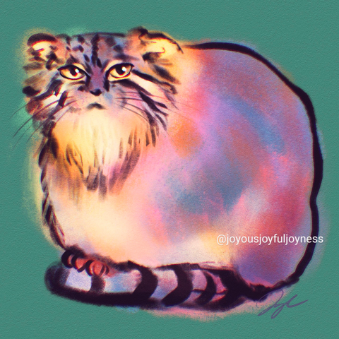 Painting of a Pallas's Cat with a grumpy face, standing on his tail. The artist's signature and @joyousjoyfuljoyness watermark are at the bottom right.