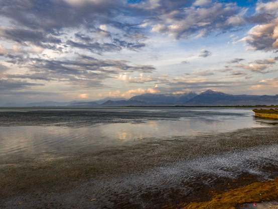 Wide-angle view of a calm Lake Shkodër under a dramatic, cloudy sky, with a dark, textured shoreline in the foreground and the Albanian Alps (or Accursed Mountains) on the distant horizon.