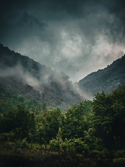 This is photograph of a misty/foggy mountain landscape. There are dark, stormy clouds which hover above. They are partially obscuring the peaks of densely forested mountains. In the foreground there is a green forest with varying shades of green from the trees.