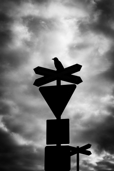 A minimalist black-and-white silhouette of a large crow perched on a tower of railroad crossing signs, including a crossbuck and an inverted triangle. The background features dramatic, high-contrast stormy clouds.