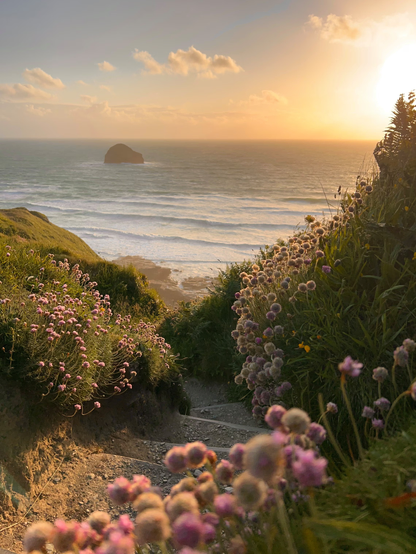 A breathtaking vertical landscape looking down a rugged coastal path toward the ocean at sunset. In the foreground, clusters of soft pink wildflowers (Sea Thrift) grow along the cliffside, glowing in the warm, golden light. A steep, narrow stone staircase leads the eye down into a hidden cove where white waves roll onto the shore. In the distance, a solitary dark rock formation sits in the shimmering sea under a hazy, amber sky. The sun hangs low on the right, bathing the entire scene in a peaceful, radiant glow.