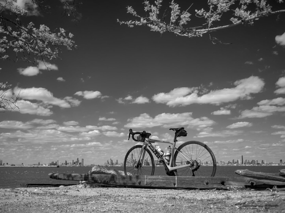 A BMC road bike, with the Manhattan and Jersey City skylines in the background. The scene is framed by some tree branches from the top.