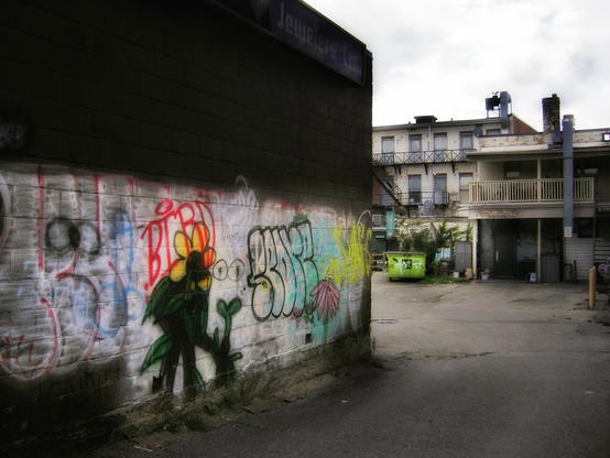 Brightly coloured graffiti is painted along a dark wall. A multistorey building is seen in the background with many windows and a steel railed veranda on the second floor. A bright green garbage container is also seen.