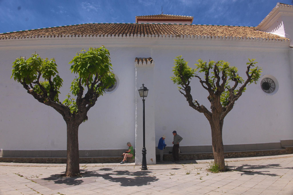 Two short tress are split by a lamppost against a church wall. Some people sit in the shade