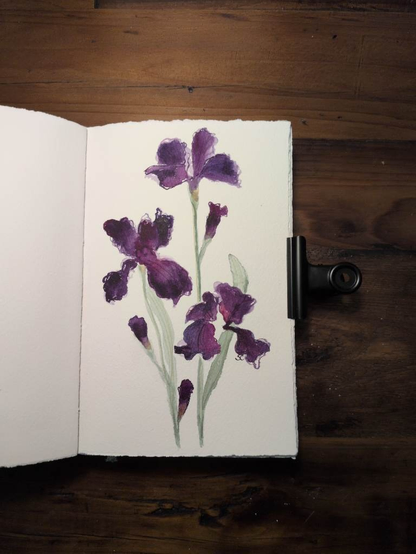 This is a watercolor painting of deep purple irises. There are two stems, three bloomed irises and three buds. The purple colors vary from rich red purple to blue purples.