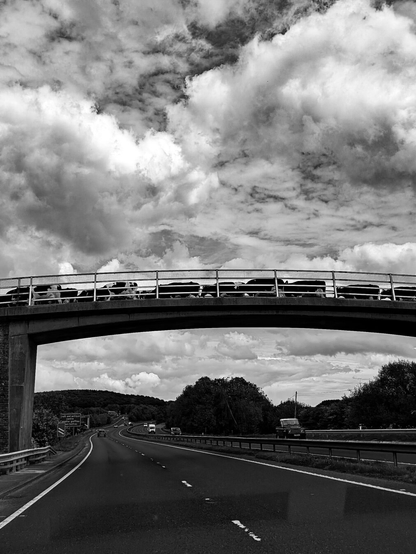 A monochrome photo taken from a car driving on a large motorway in Wales. A herd of cattle are crossing over on a bridge that spans the motorway. The sky is full of fluffy clouds.