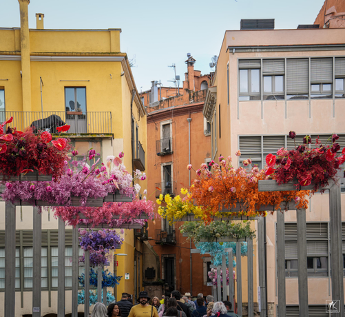 Color photo of colored floral displays mounted atop structures along either side of a pedestrian bridge with the different groups of flowers creating a rainbow color progression along the bridge. 