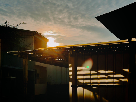 Sunset scene with shadows cast by a wooden structure, a building to the left, and a bird perched on a tree branch. Cloudy sky with the sun low.