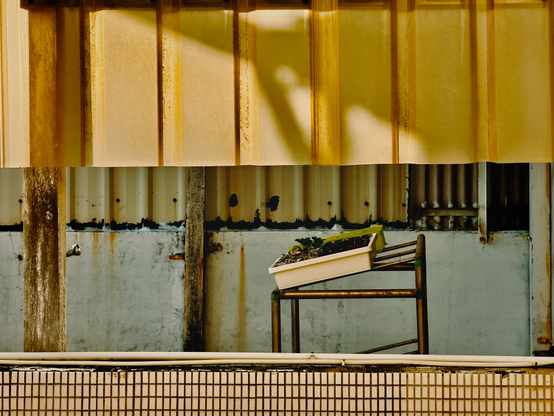 Empty chair with a planter, set against a weathered wall and corrugated metal fence, in a rustic outdoor scene.