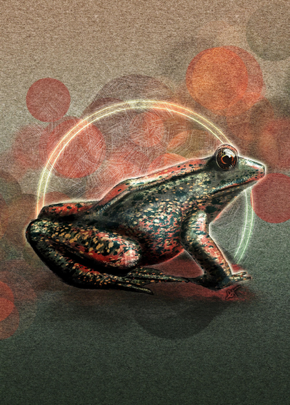 Illustration of a Northern Red-Illustration of a Red-Legged Frog in profile on a textured paper background with a bokeh lighting effect behind it. Colors are predominantly reds, corals and greens.