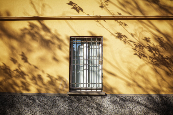 This is a photograph of a yellow wall with a small, rectangular window in the middle. The window has metal bars and is covered by a translucent white curtains on the inside. There are shadows of leaves and branches which cast intricate patterns on the wall, creating a textured, sunlit effect. The lower bit of the wall is a rough, grey concrete.