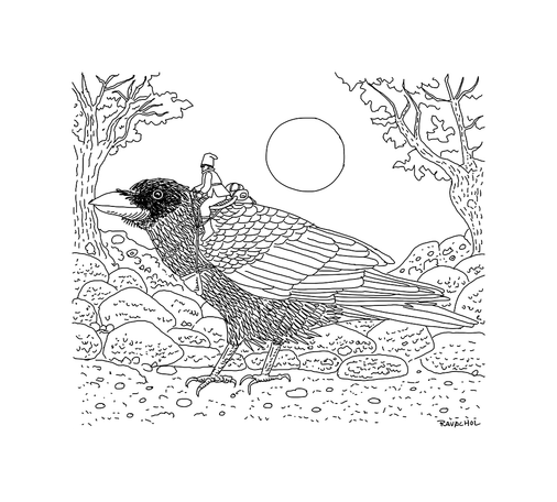 Black and white illustration of a boy on a raven, from the side.