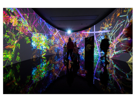 Die Bilder sind in der Kunsthalle München entstanden und zeigen die immersiven Lichtinstallationen und deren Interaktion mit den Menschen, die sich im Raum bewegen.