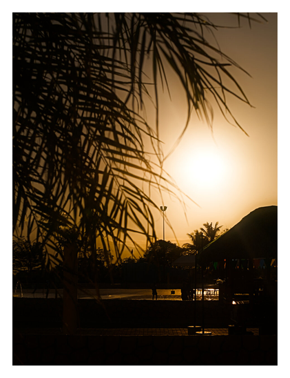A sunset scene framed by silhouetted palm fronds, featuring a bright, hazy sun over a dark landscape with a thatched-roof hut and distant figures near a reflective surface of water. - Google Gemini 3.1 Pro Preview