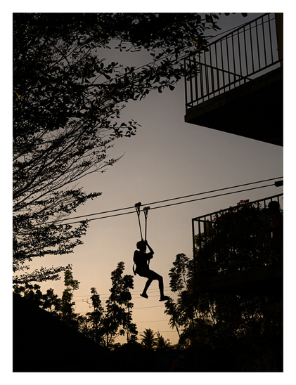 A person riding a zipline against an evening sky, framed by trees and a building with balconies. - Google Gemini 3.1 Pro Preview