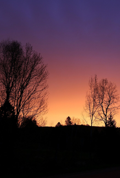 Photograph of a sky at sunrise behind the black silhouette of a few trees, showing a whole gradient of color from deep blue at the top of the photo, with a few purple clouds, going down to pink, red, orange and then yellow above the horizon.

Photographie d'un ciel au lever du soleil derrière la silhouette noire de quelques arbres, montrant tout un gradient de couleur allant du bleu profond dans le haut de la photo, avec quelques nuages mauves, passant en descendant au rose, au rouge, à l'orangé puis au jaune au-dessus de l'horizon.