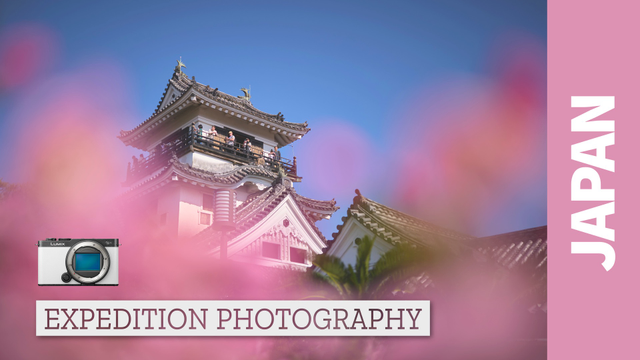 Kochi Castle in Sakura Season. Cover shot for my video on Japan.