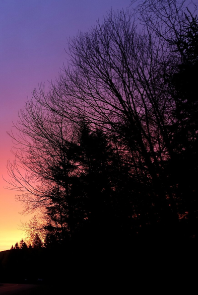 Photograph of a sunrise sky behind the black silhouette of a few leafless trees and conifers, showing a whole gradient of color from deep blue at the top of the photo, going down to purple, pink, red, orange and then yellow above the horizon in the lower left corner.

Photographie d'un ciel au lever du soleil derrière la silhouette noire de quelques arbres sans feuilles et des conifères, montrant tout un gradient de couleur allant du bleu profond dans le haut de la photo, passant en descendant au mauve, au rose, au rouge, à l'orangé puis au jaune au-dessus de l'horizon dans le coin inférieur gauche.
