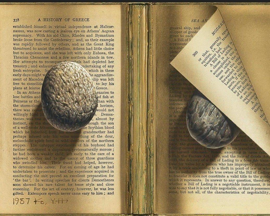 l'ombre projetée des galets, le matin, sur un livre ouvert sur l'histoire de la Grèce