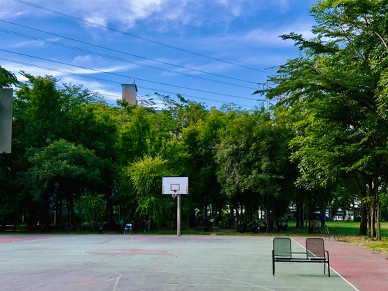 An outdoor basketball court with a hoop, surrounded by green trees, under a partly cloudy blue sky with power lines overhead.