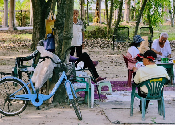 Elderly people enjoying a peaceful moment outdoors in a park, sitting and socializing under trees.