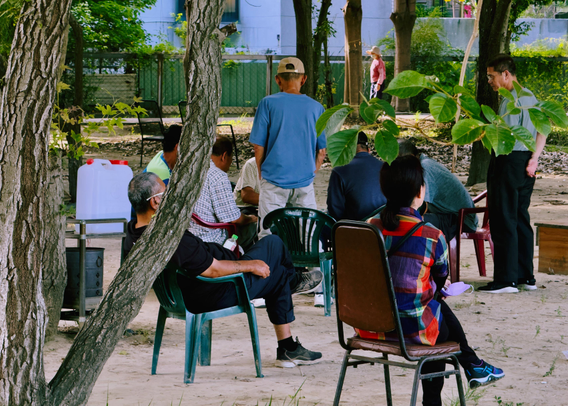 A group of people gathered outdoors under trees, sitting and standing, with some wearing masks and casual attire.