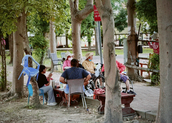 Group of women, some in wheelchairs, sitting and chatting on benches in a park with trees.