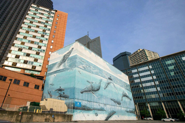Robert Wyland's Whaling Wall 82. It is a massive installation, painted in downtown Dallas.