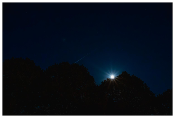 The moon rises behind some trees. Thanks to the freaking high aperture that no sane human being would use, the moon is rendered as a nice "sun" star.