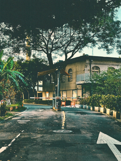 Empty street with a barrier gate, tall trees, and a building in the background during daytime.