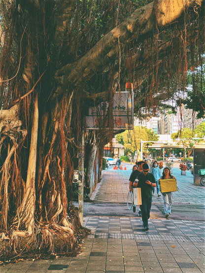 A busy urban sidewalk with large tree roots and hanging vines on the left, and pedestrians walking with shopping bags and umbrellas.